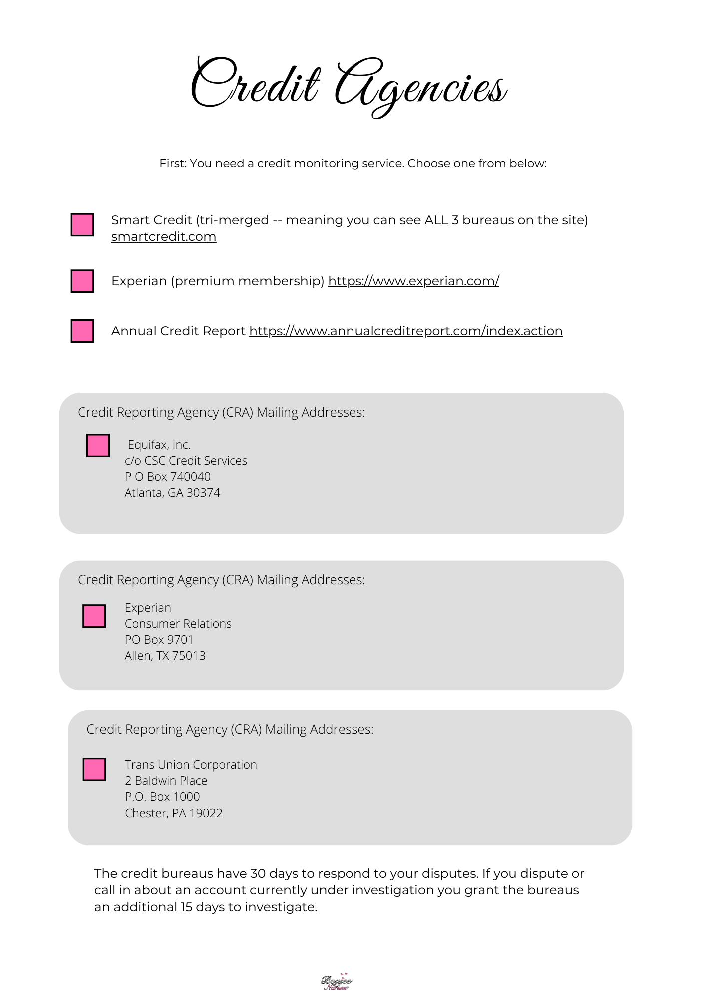 Credit Repair Planner